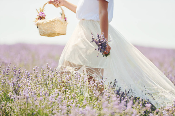 Close up view of woman in beautiful white dress that using basket to collect lavender in the field. - Fotografie, Obrázek