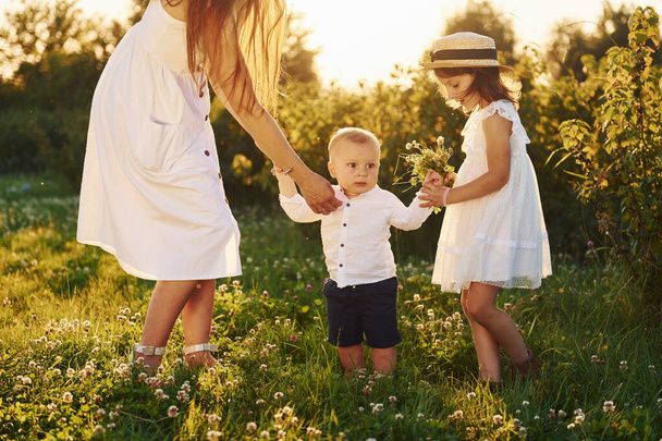 Cheerful family of mother, little son and daughter spending free time on the field at sunny day time of summer. - Photo, Image