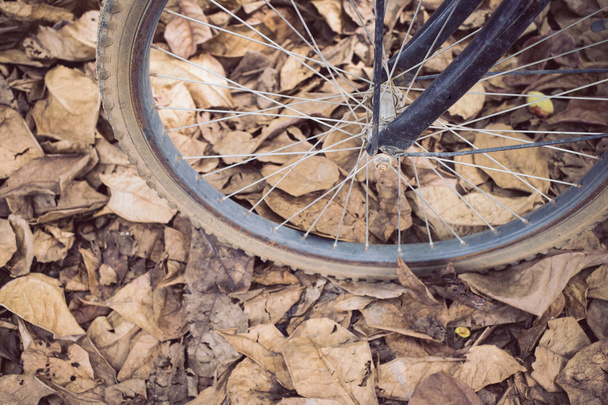 bicicleta e outono folhas secas caem no chão
 - Foto, Imagem