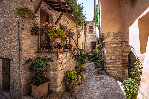 Street view of the medieval town of Spello in Umbria, Italy - Fotografie, Obrázek
