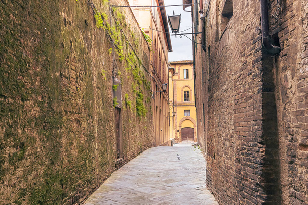 Street View of the medieval city of Siena in Tuscany, Italy - Valokuva, kuva