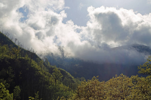 Clouds and Smokies - Great Smoky Mountains National Park, Tennessee - Photo, image