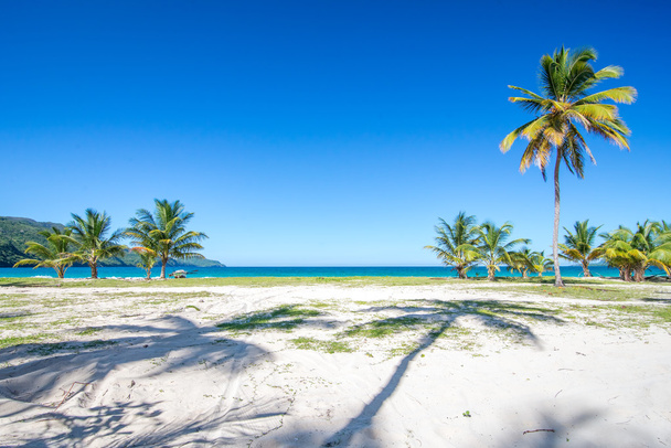 Wejście do jednego z najpiękniejszych tropikalnych plaż w Karaiby, Playa Rincon, w pobliżu Las Terrenas, Dominikana, z palmowego drzewa cieniu i niesamowity widok na morze - Zdjęcie, obraz