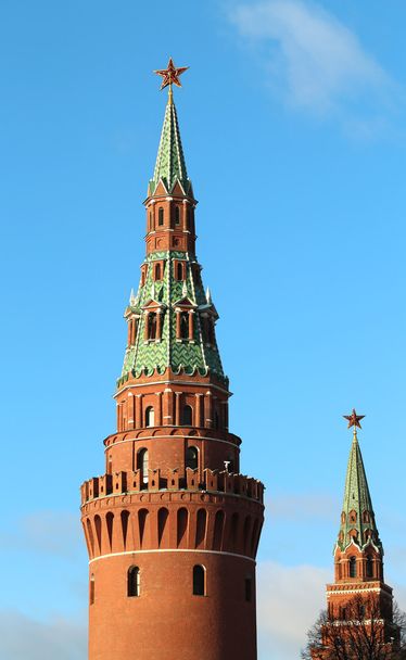 Vodovzvodnaya Moskova Kremlin Kulesi - Fotoğraf, Görsel