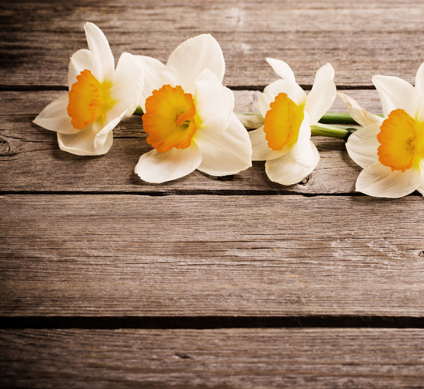spring flowers on wooden background - Fotoğraf, Görsel