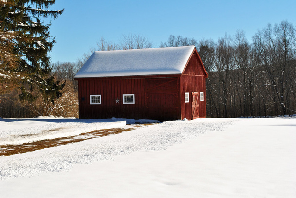 Snowy Driveway in a Scenic Winter Scene - Photo, Image
