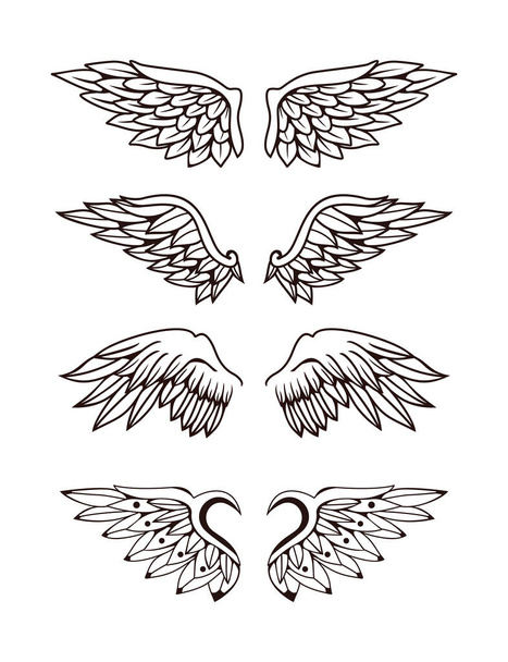 Ilustración de la colección de alas - Vector, Imagen