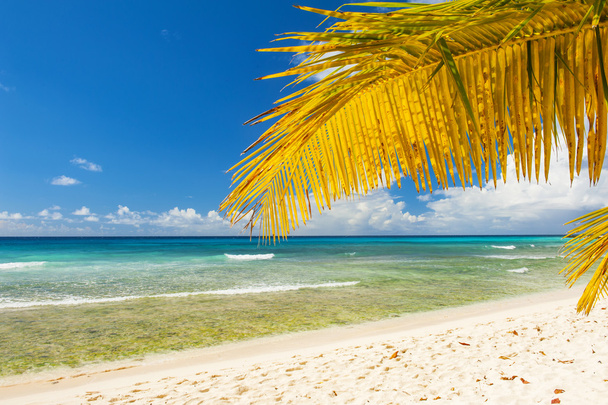 Barbados - Foto, Bild