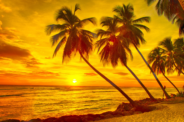 Barbados - Foto, afbeelding