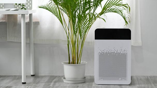 Modern air purifier on n floor in bright living room for filter and cleaning removing dust PM2.5 - Photo, image