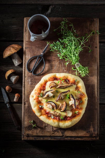 Delicious pizza made of wild mushrooms and cheese. Hot mushrooms pizza made of fresh ingredients. - Fotoğraf, Görsel