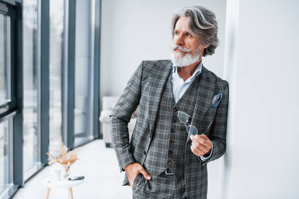Standing in the room. Senior stylish modern man with grey hair and beard indoors. - Fotó, kép