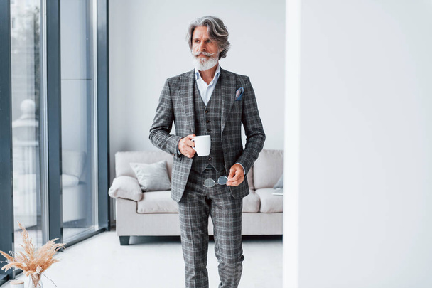 Standing in the room. Senior stylish modern man with grey hair and beard indoors. - Photo, Image