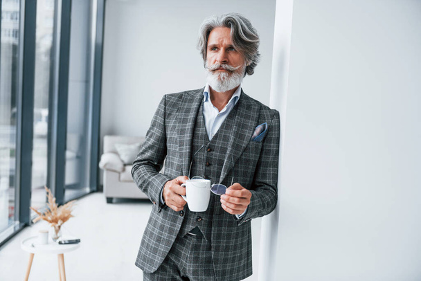 Standing in the room. Senior stylish modern man with grey hair and beard indoors. - Фото, изображение