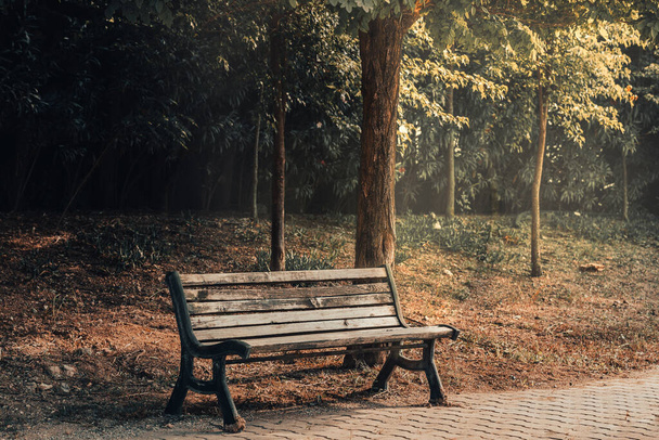 An empty and single wooden bench at sunset in Turkey - Φωτογραφία, εικόνα