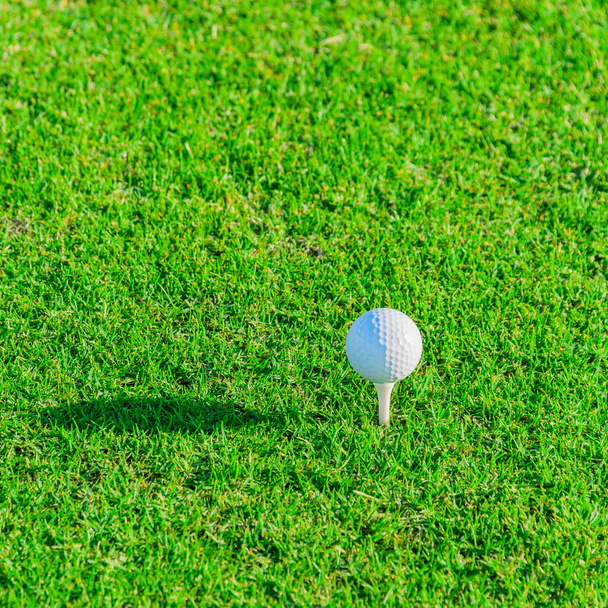 Clube de golfe e bola na grama - Foto, Imagem
