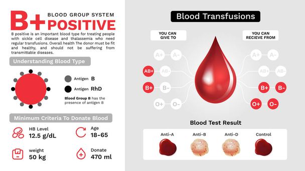 B Позитивна група крові характеристики та додаткова інформація Векторний дизайн зображення
 - Вектор, зображення