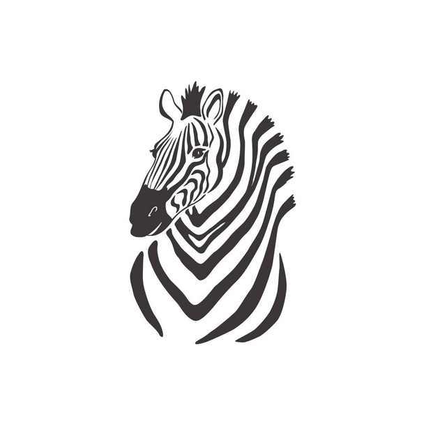 Zebra on white background. Vector . - Vettoriali, immagini