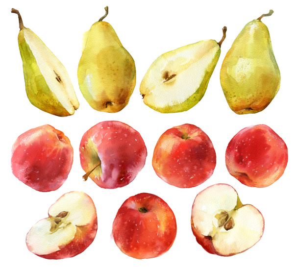 リンゴと梨の水彩画 - 写真・画像