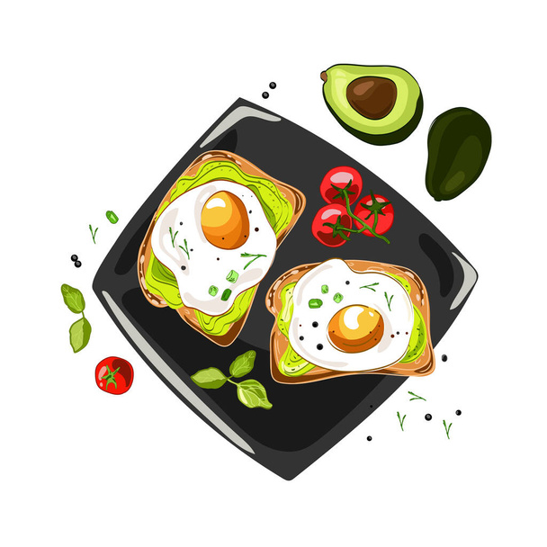Avocado egg sandwich with whole grain bread on plate top view,vector food illustration isolated on white background.Healthy breakfast or snack toast with fried egg drawing in cartoon realistic style. - Διάνυσμα, εικόνα