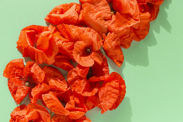 Kreative Komposition aus roten Mohnblumen auf pastellgrünem Hintergrund. Naturkonzept. Sommer-Layout im minimalistischen Stil. Ansicht von oben. Flache Lage - Foto, Bild