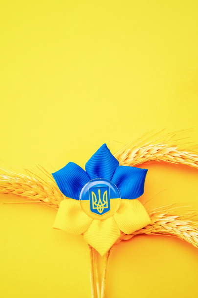 Sfondo giallo blu. Simbolo tridente di fiore ucraino con spiga di grano isolata su giallo. Amore Ucraina concetto - Foto, immagini