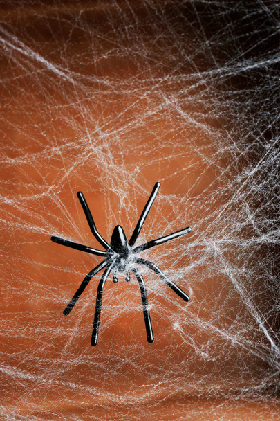Cobweb with black spider - Фото, зображення