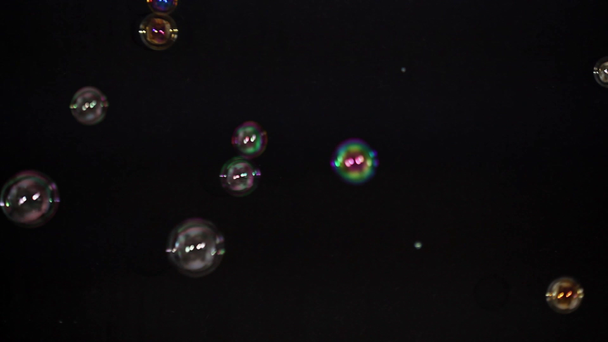 Soap bubbles on black - Footage, Video