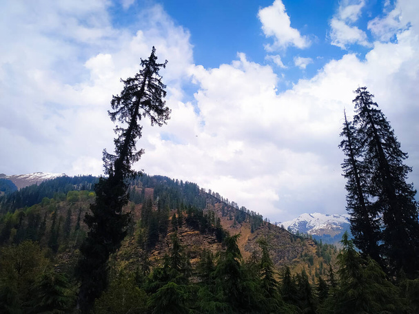 wolken met blauwe lucht boven de groene bergen en dennenbomen - Foto, afbeelding