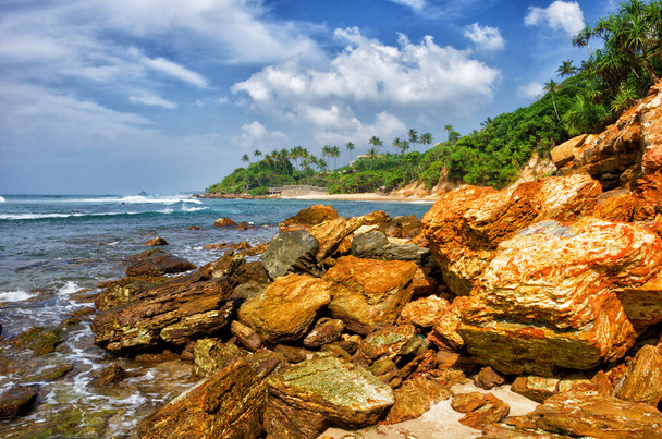 Csodálatos táj egy gyönyörű trópusi sziget, friss zöld pálmafák felett kék ég háttér, paradicsom strand, szörf helyen Sri Lanka - Fotó, kép