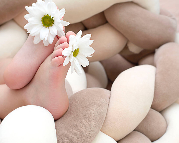 Gente. Criança. Pequenos pés de bebé com camomila branca nos dedos dos pés. Close-up. Foco suave. - Foto, Imagem