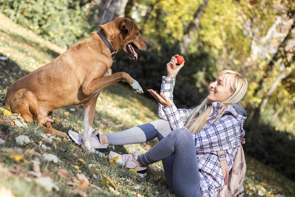 Positivo giovane donna godendo momenti felici con il suo cane - Foto, immagini