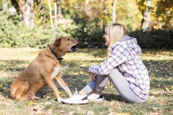 Pozitivní mladá žena těší šťastné okamžiky se svým psem - Fotografie, Obrázek