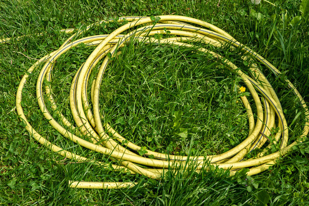Coiled garden rubber water hose on the grass - Photo, Image