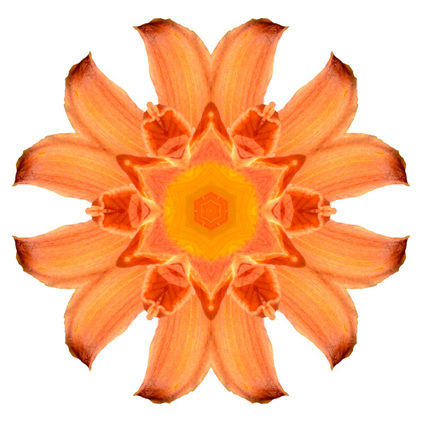 Flower mandala isolated on white background - Zdjęcie, obraz