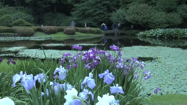 Cesarski ogród w Tokio - Materiał filmowy, wideo