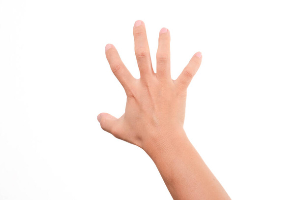 Female hand trying to reach or grab something isolated on white background. - 写真・画像