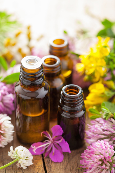 óleos essenciais e flores medicinais ervas
  - Foto, Imagem