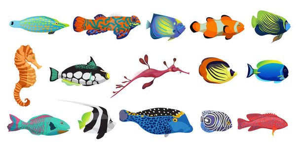 Cute fishes, exotic underwater animal characters set, marine creatures collection - Vektor, obrázek