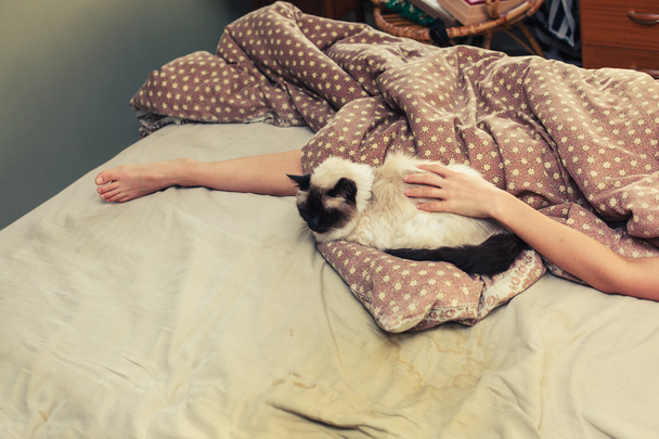 Woman and cat in bed - Фото, изображение
