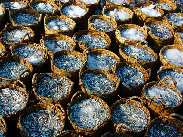 Корзина анчоусов, материал для рыбного соуса
 - Фото, изображение