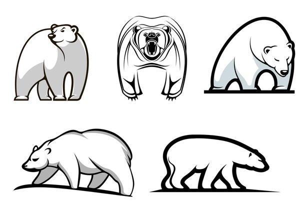 Conjunto de ursos polares de desenhos animados - Vetor, Imagem