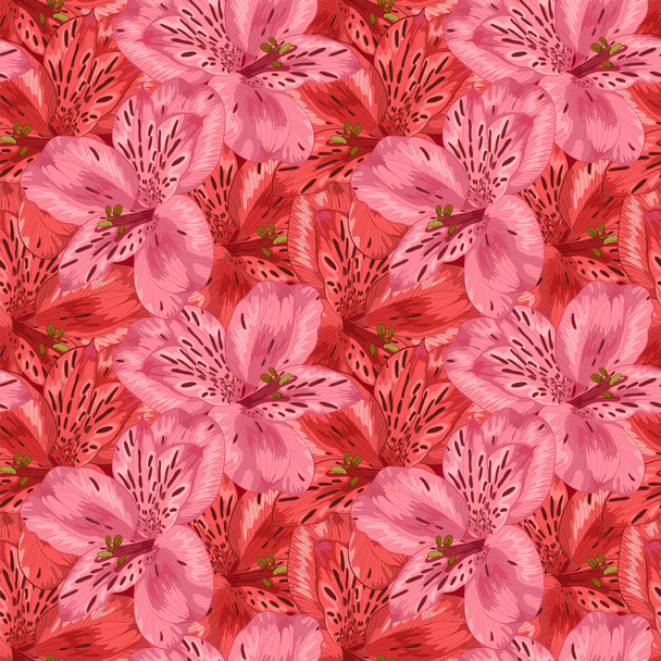 mooie naadloze achtergrond met roze en rood alstroemeria bloem. - Vector, afbeelding