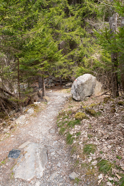 Rania, Grison, Switzerland, April 12, 2022 Big stone on a hiking trail in the forest - Foto, Imagem