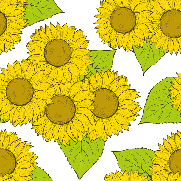 beautiful seamless background with sunflowers. - Vector, Image