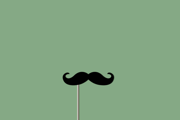 false mustache on a green background. vector illustration. - Vector, Image