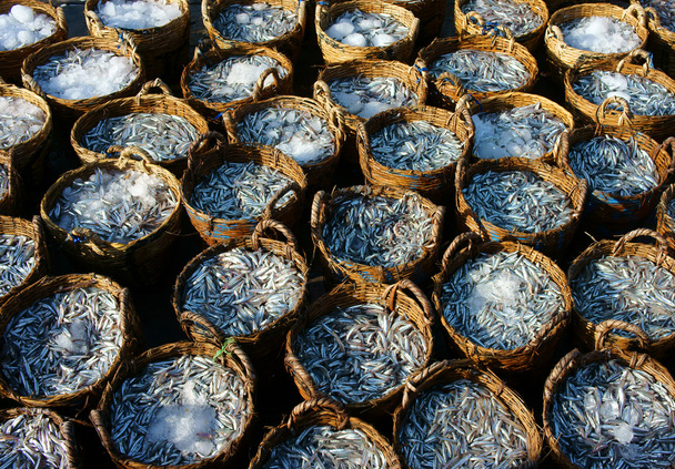  Корзина анчоусов, материал для рыбного соуса
 - Фото, изображение