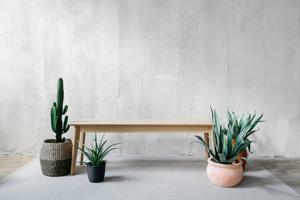 Üres, modern pad áll a szőnyegen a cserepes növények mellett. Fa dohányzóasztal, kaktusz fonott kosárban és zamatos házi növények ellen texturált gipszkarton fal fénymásoló hely. Nappali belső - Fotó, kép