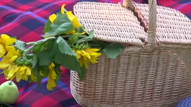 Κρασί μπουκάλι και πικνίκ καλάθι με λουλούδια στο χόρτο - Πλάνα, βίντεο