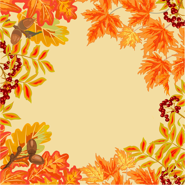 Frame from autumn leaves vector - Vector, Image
